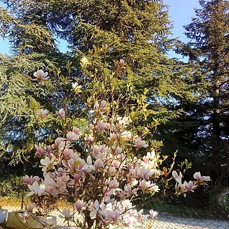 Frühstückspension Casale Giovannozzi Ascoli Piceno