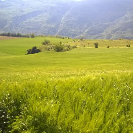 Casale Giovannozzi Bed & Breakfast *