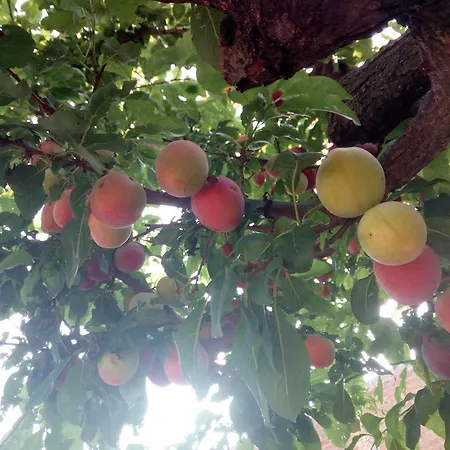 Bed & Breakfast Casale Giovannozzi Ascoli Piceno