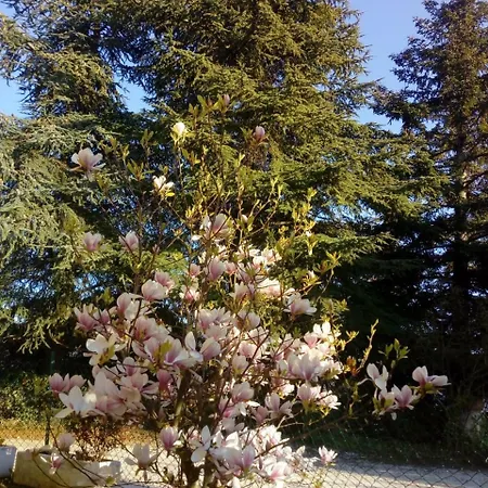 Casale Giovannozzi Bed & Breakfast Ascoli Piceno