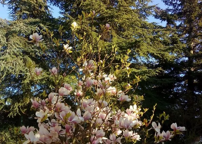 Casale Giovannozzi Bed & Breakfast Ascoli Piceno